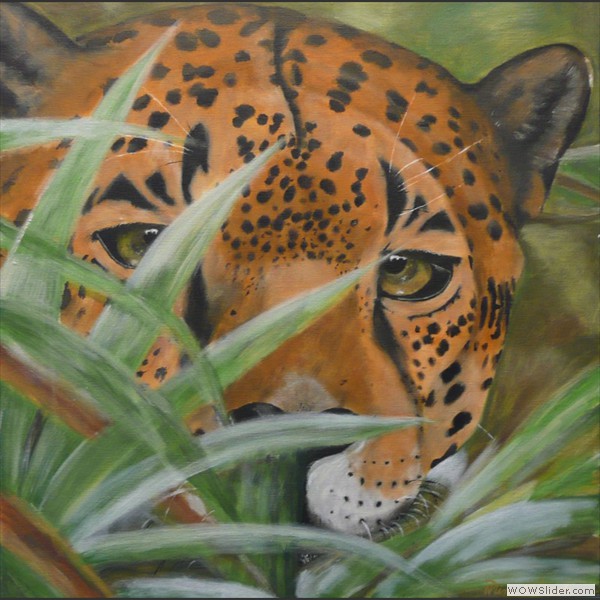 Gepard